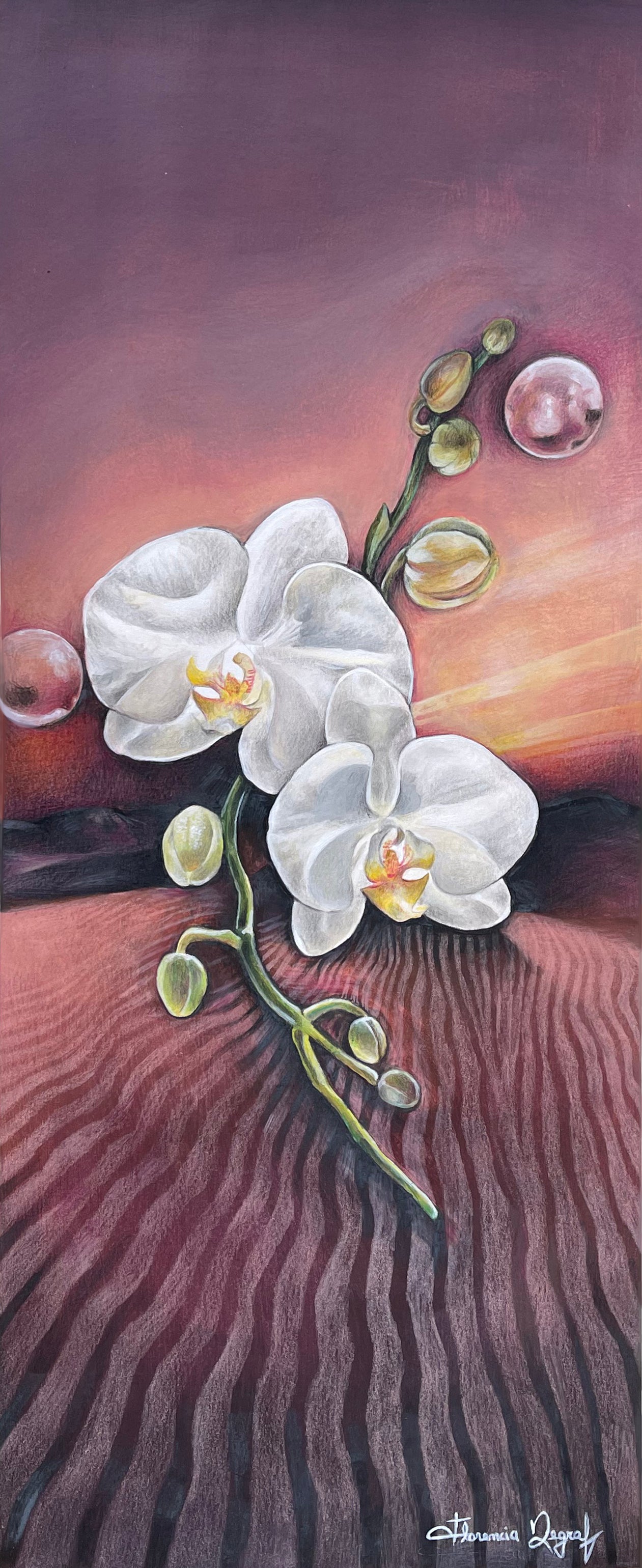 Surreal orchid gallery painting by Florencia Degraf featuring white orchids on vibrant background
