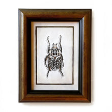Load image into Gallery viewer, Framed acrylic insect gallery painting for sale showcasing a detailed beetle design

