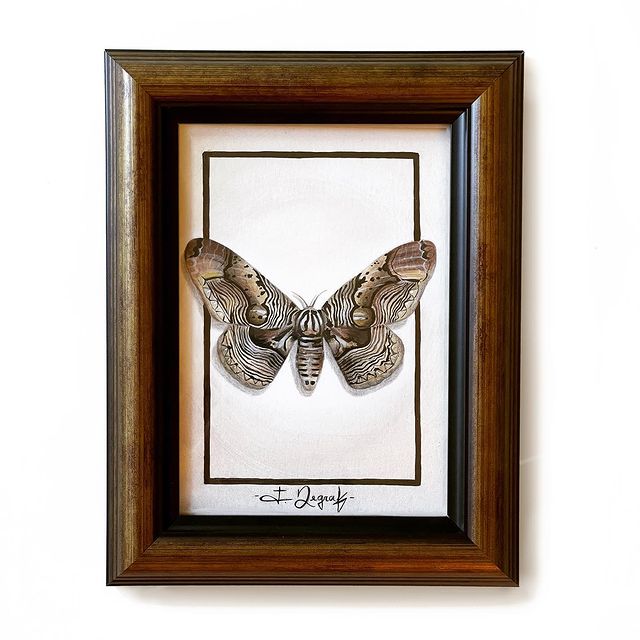 Framed acrylic insect gallery painting for sale featuring a realistic butterfly design by Florencia Degraf